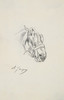 Head of a Horse Poster Print by Charles Emile Jacque