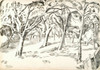 The Orchard  Poster Print by Paul Nash