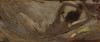 La M‚îú‚åêt‚îú‚åêorologie  Poster Print by Albert Besnard