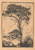 Pijnboom Poster Print by Reijer Stolk