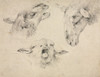 Sheep Heads  Poster Print by Wouterus Verschuur