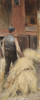 Haymaking  Poster Print by Nils Kreuger