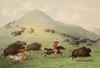 Buffalo Hunt, Horseback  Poster Print by George Catlin