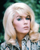 Stella Stevens 1960S. Photo Print