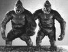 King Kong Still