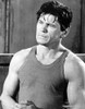 Charles Bronson Photo Print - Item # VAREVCPBDCHBREC005H