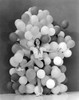 Eleanor Powell Portrait Photo Print - Item # VAREVCPBDELPOEC033H