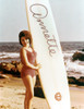 Annette Funicello Circa 1964 Photo Print - Item # VAREVCP8DANFUEC001H