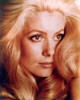 Catherine Deneuve Photo Print - Item # VAREVCP8DCADEEC002H