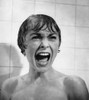 Psycho Janet Leigh Shower Scene 1960 Photo Print