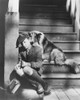 Lassie Come Home Photo Print