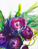 Ranunculus Poster Print - Christine Lindstrom