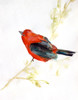 September Poster Print - Christine Lindstrom