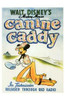 Canine Caddy Movie Poster (11 x 17) - Item # MOV196918