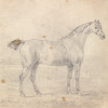Mr. Plumer√¢‚Ç¨‚Ñ¢s Horse Poster Print by Sawrey Gilpin