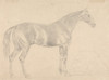 A Horse, Facing Right Poster Print by Sawrey Gilpin