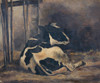 Cow lying down in a cowshed Poster Print by Floris Verster