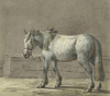 Staand paard in een stal, naar links  Poster Print by Jean Bernard