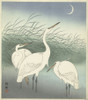 Herons in shallow water  Poster Print by Ohara Koson