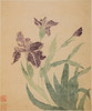 Irises  Poster Print by Ma Yuanyu