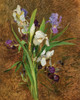 Irises Poster Print by Rudolf Ribarz