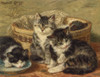 Four Kittens Poster Print by  Henriette Ronner-Knip - Item # VARPPHPDA66514