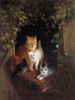 Cat with Kittens Poster Print by Henri√´tte Ronner-Knip