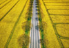 Spring Poster Print - Guy Krier