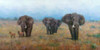 On the Move Poster Print - Stephen Mitchell