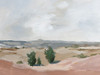 Arid Poster Print - Pamela Munger