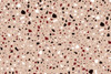 Speckles_Peach Poster Print - Sue Skellern