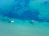 Nature From Above II Poster Print - Studio Praxis