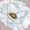 Floral Bloom II - Pink Poster Print - Paul Brent