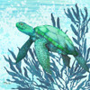 Calypso Turtles II - Bright Poster Print - Paul Brent