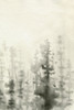Ink Pine Woods II Poster Print - Emma Caroline