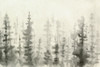 Ink Pine Woods III Poster Print - Emma Caroline