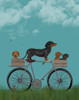 Dachshunds on Bicycle Poster Print - Funky Fab