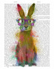 Rainbow Splash Rabbit 1 Poster Print - Funky Fab