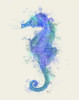Seahorse Rainbow Splash Blue Poster Print - Funky Fab
