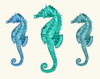 Seahorse Trio Poster Print - Funky Fab