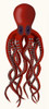 Giant Octopus Red Poster Print - Funky Fab