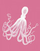 Octopus White on Pink d Poster Print - Funky Fab