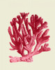 Red Corals 1 a Poster Print - Funky Fab