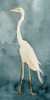 Simple Egret I Poster Print - Emma Caroline