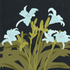 Garden Lilies II Poster Print - Jacob Green