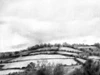 Rolling Landscape Sketch II Poster Print - Emma Caroline