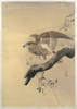 Hawk  Poster Print by Ohara Koson