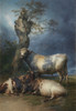 Repose  Poster Print by Thomas Sidney Cooper