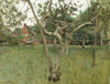 Country garden Poster Print by Sir George Clausen