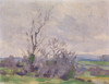A Landscape Poster Print by Michael Healy